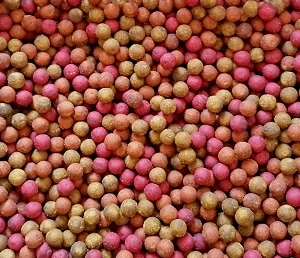 Feed Boilies Fruities 5kg